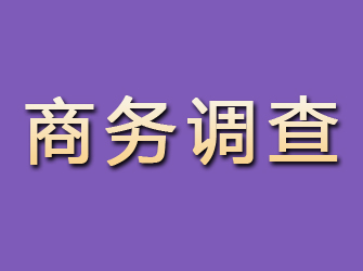 宝鸡商务调查